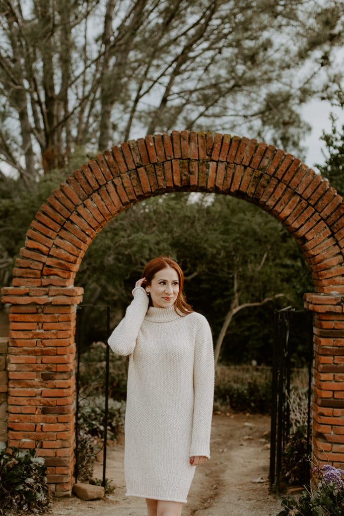Turtle Neck Long Sleeve Dress