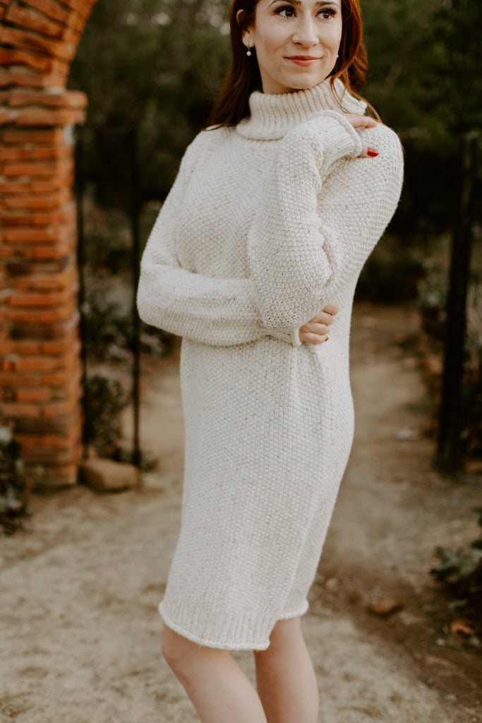 Turtle Neck Long Sleeve Dress