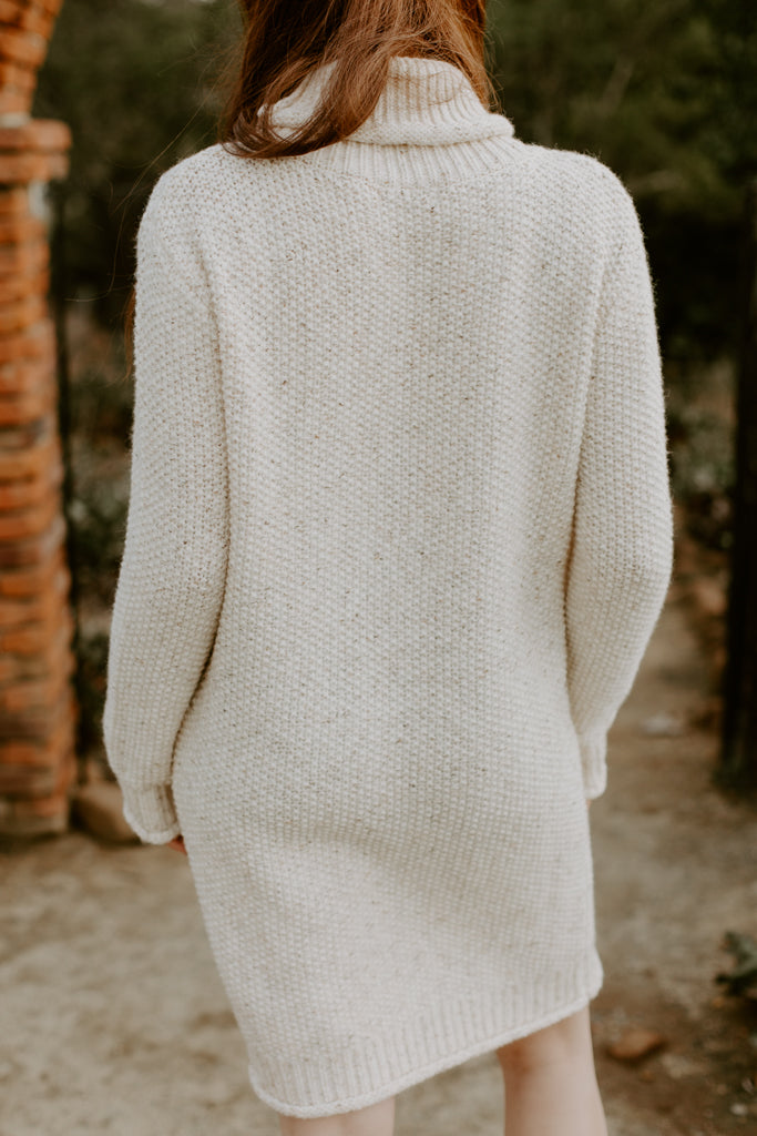 Turtle Neck Long Sleeve Dress