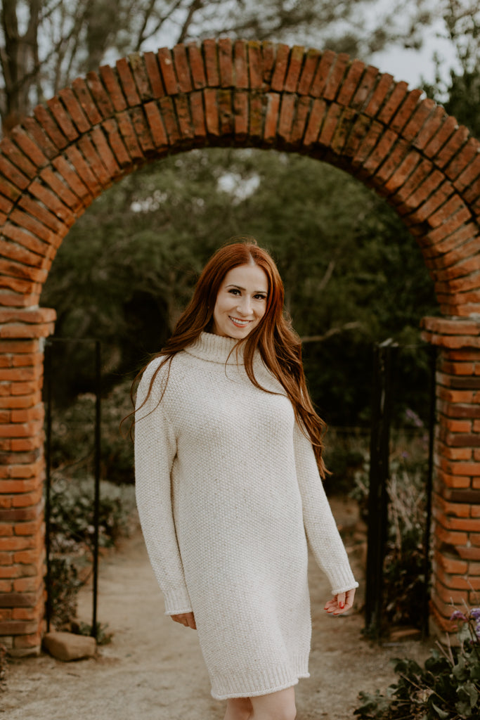 Turtle Neck Long Sleeve Dress